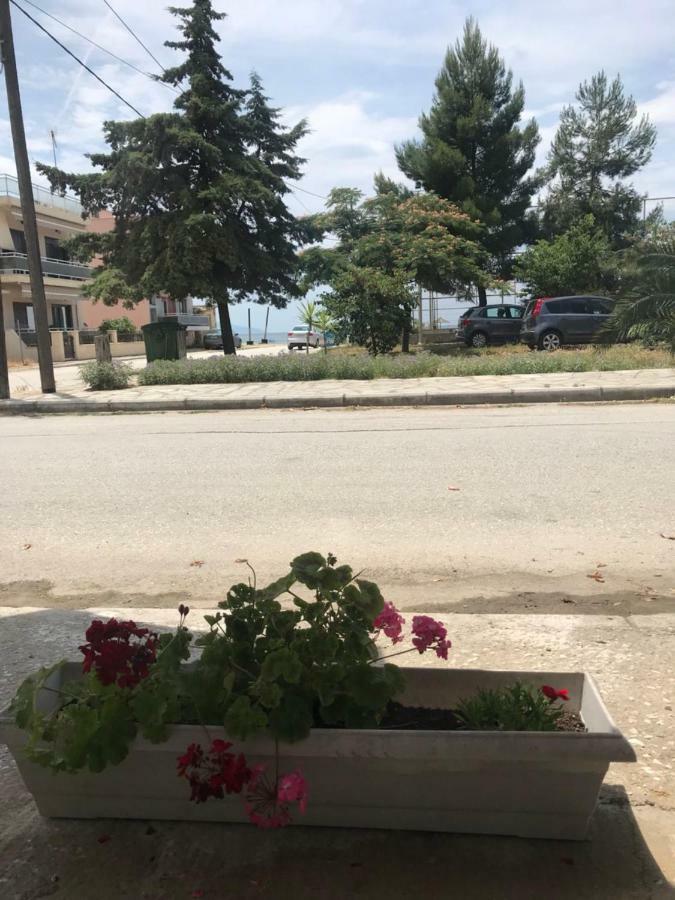 Soula'S Sunshine Apartments Nea Karvali Zewnętrze zdjęcie